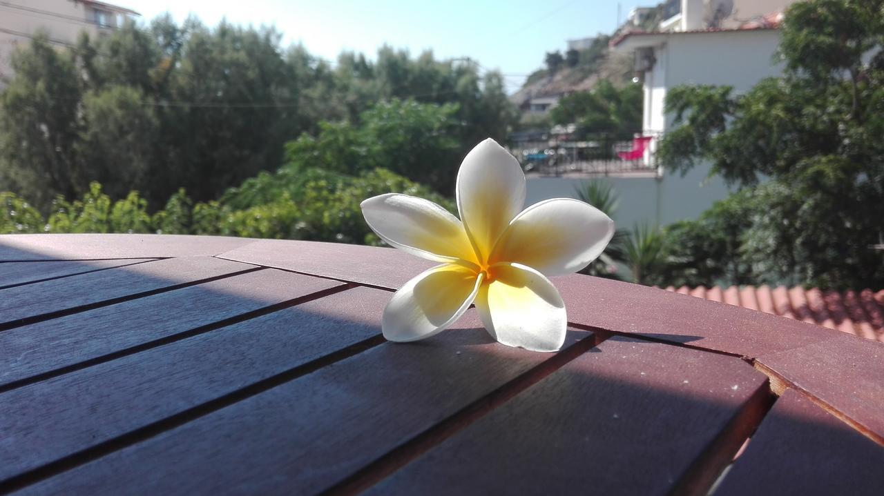 Plumeria Flowery Agios Kirykos  Exterior photo